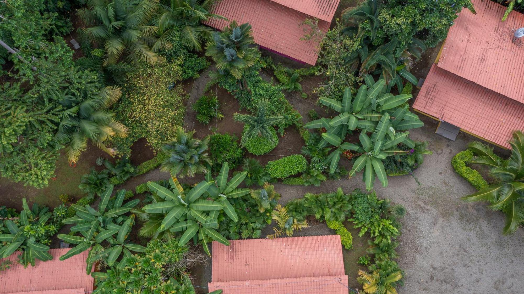 Villa Pina Dorada Dependencia Del Hotel Casa Merlin Puerto Viejo de Talamanca ภายนอก รูปภาพ