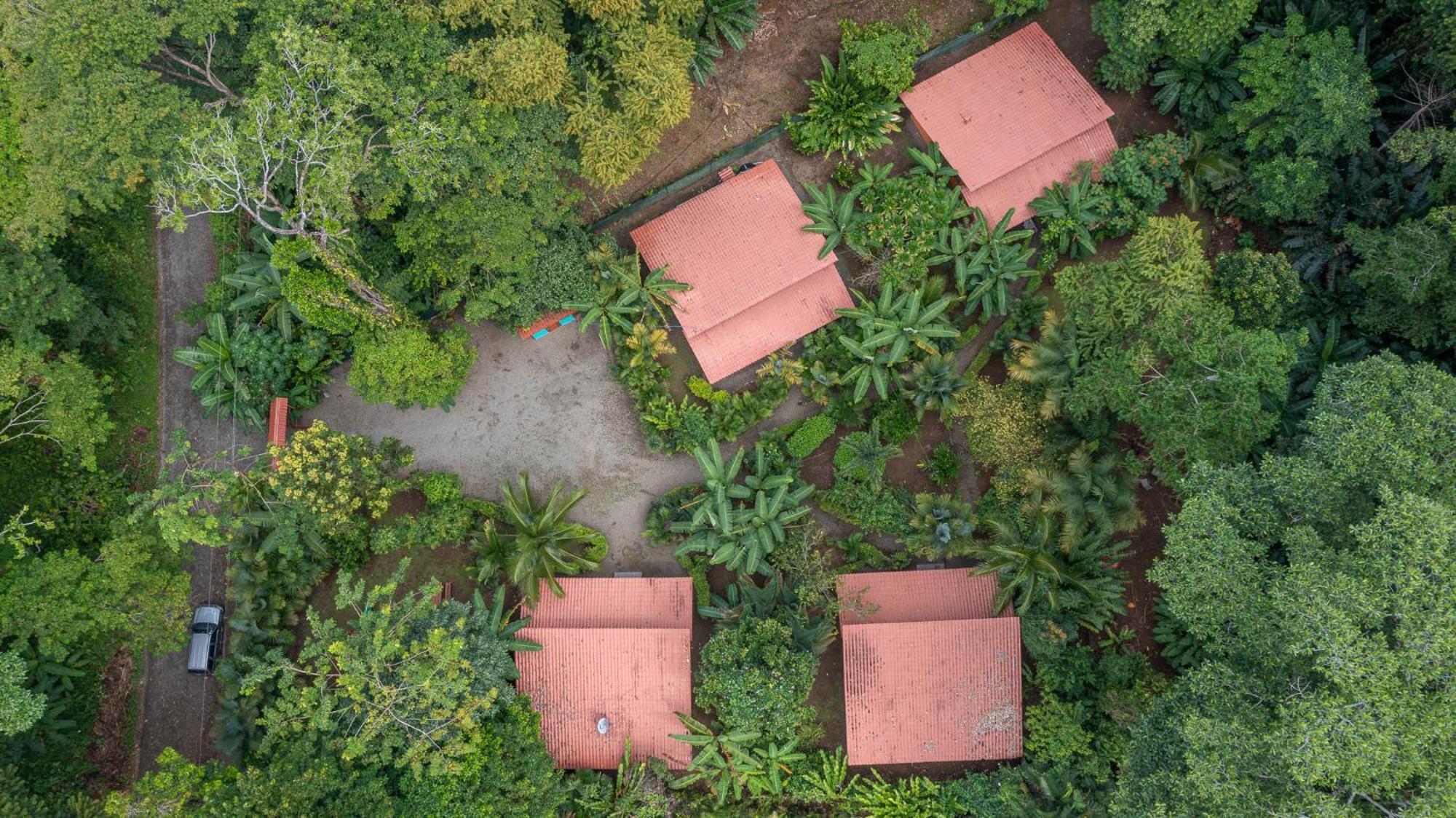 Villa Pina Dorada Dependencia Del Hotel Casa Merlin Puerto Viejo de Talamanca ภายนอก รูปภาพ