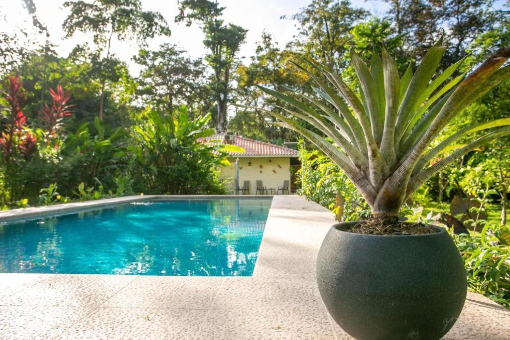 Villa Pina Dorada Dependencia Del Hotel Casa Merlin Puerto Viejo de Talamanca ภายนอก รูปภาพ