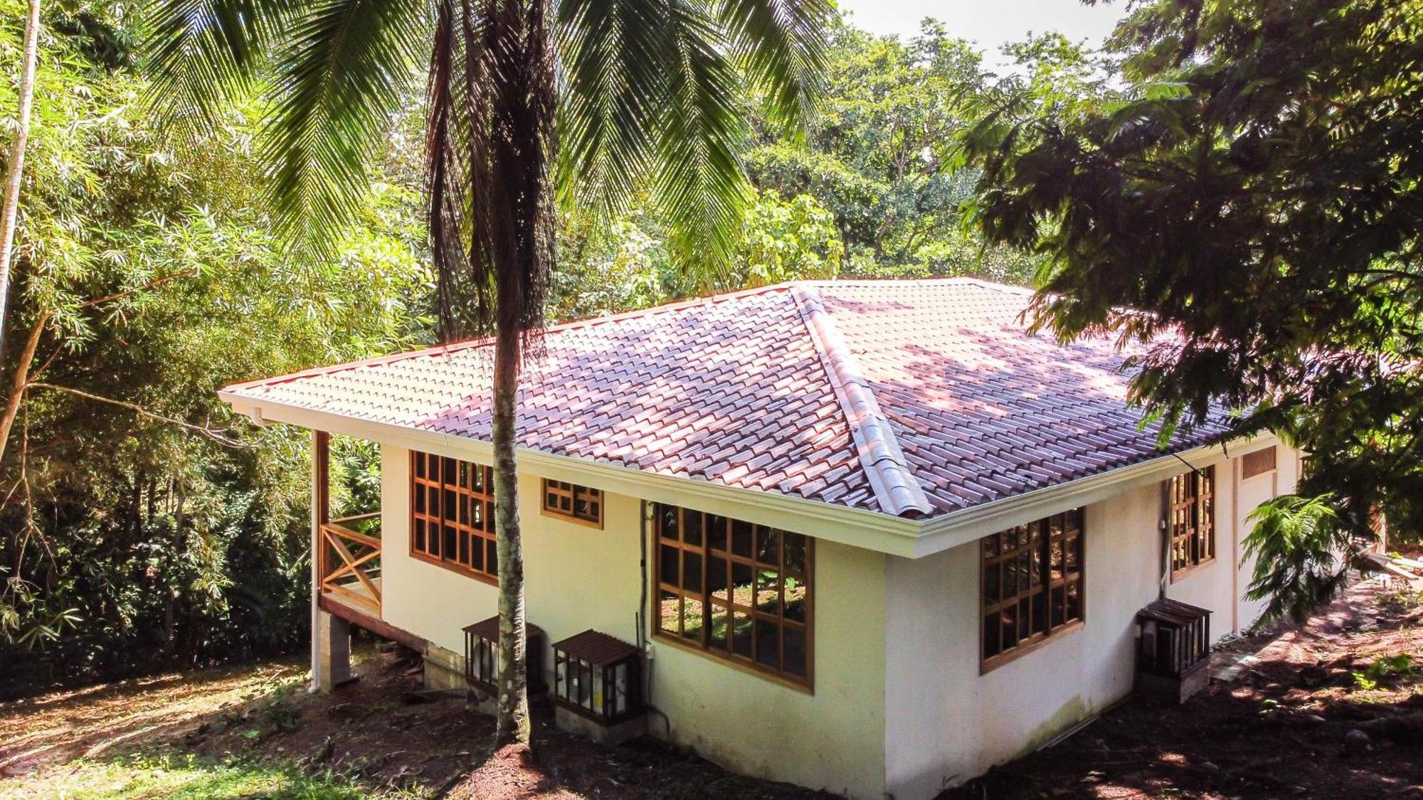 Villa Pina Dorada Dependencia Del Hotel Casa Merlin Puerto Viejo de Talamanca ภายนอก รูปภาพ