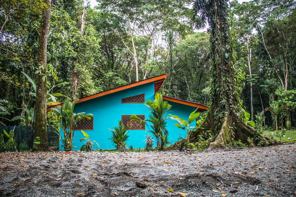Villa Pina Dorada Dependencia Del Hotel Casa Merlin Puerto Viejo de Talamanca ภายนอก รูปภาพ