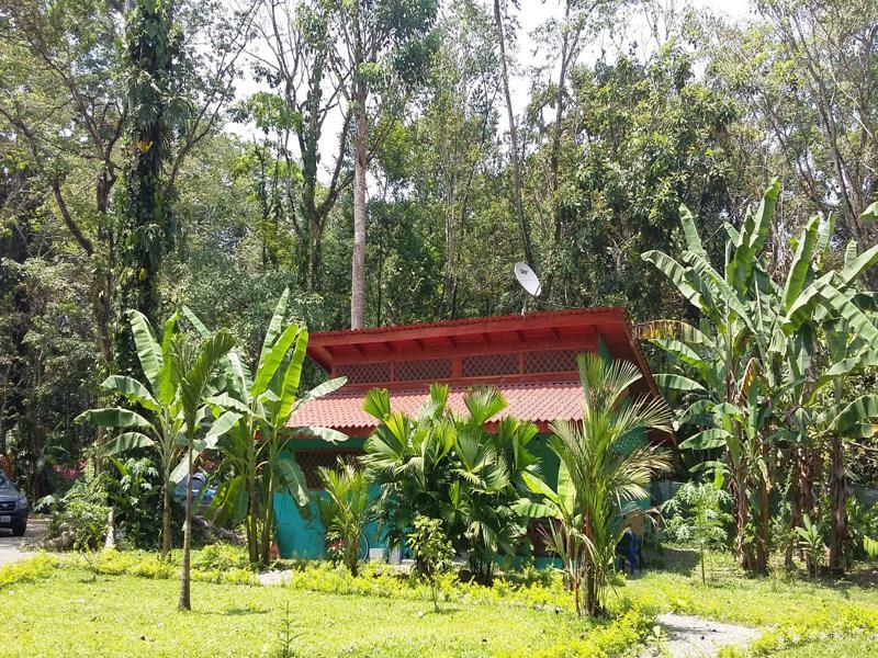 Villa Pina Dorada Dependencia Del Hotel Casa Merlin Puerto Viejo de Talamanca ภายนอก รูปภาพ