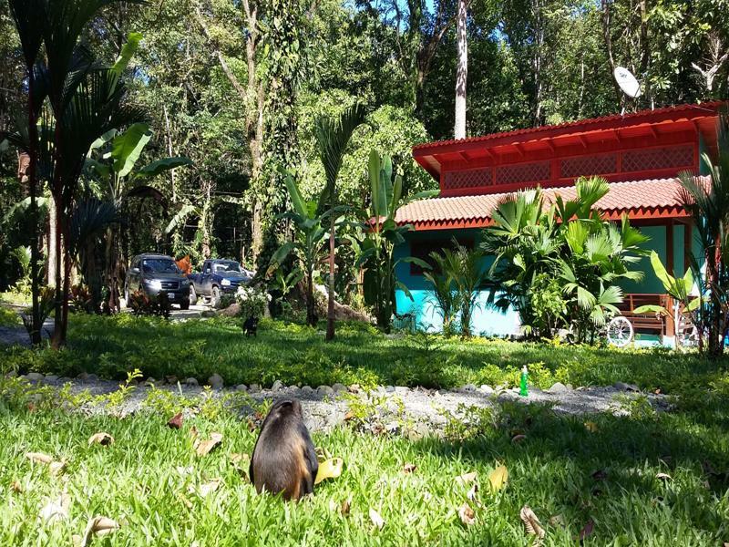 Villa Pina Dorada Dependencia Del Hotel Casa Merlin Puerto Viejo de Talamanca ภายนอก รูปภาพ