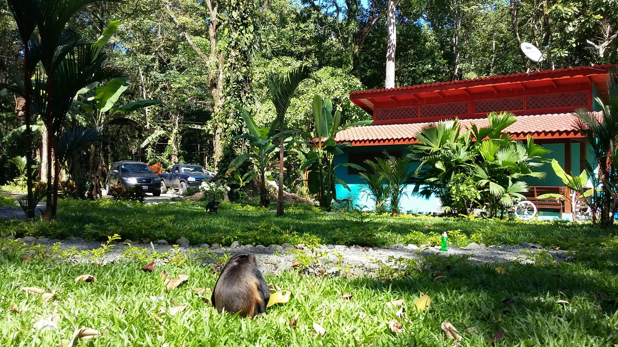 Villa Pina Dorada Dependencia Del Hotel Casa Merlin Puerto Viejo de Talamanca ภายนอก รูปภาพ
